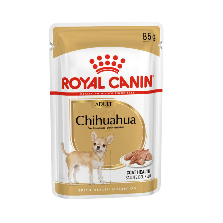 Royal Canin Adult Chihuahua paté en sobre, , large image number null